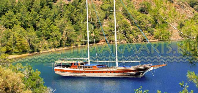 гендер пати на море